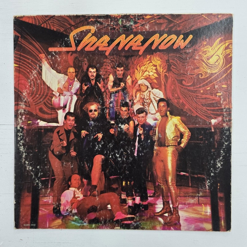 Sha Na Na Sha Na Now! LP VG+/VG Classic Rock 1975 Vintage Vinyl KSBS 2605